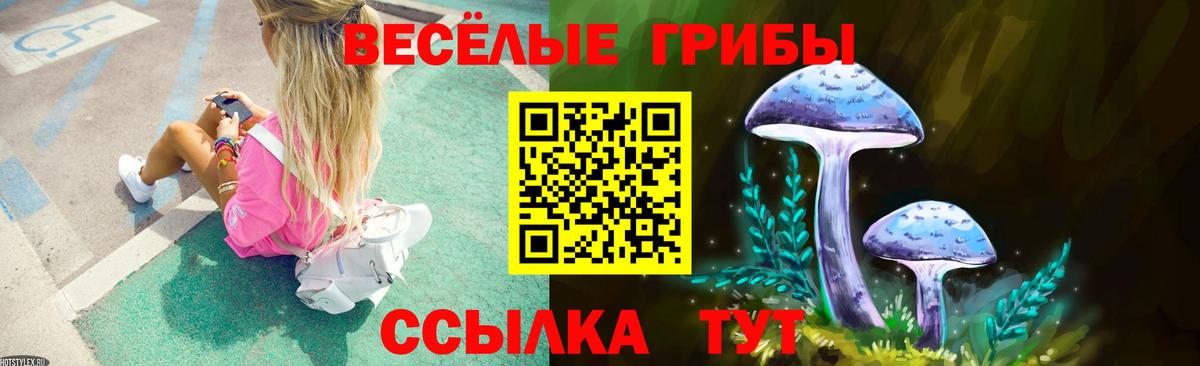 Шуя  Галлюциногенные грибы Psilocybine cubensis  Вход с VPN  Псилоцибиновые грибы ЛСД 